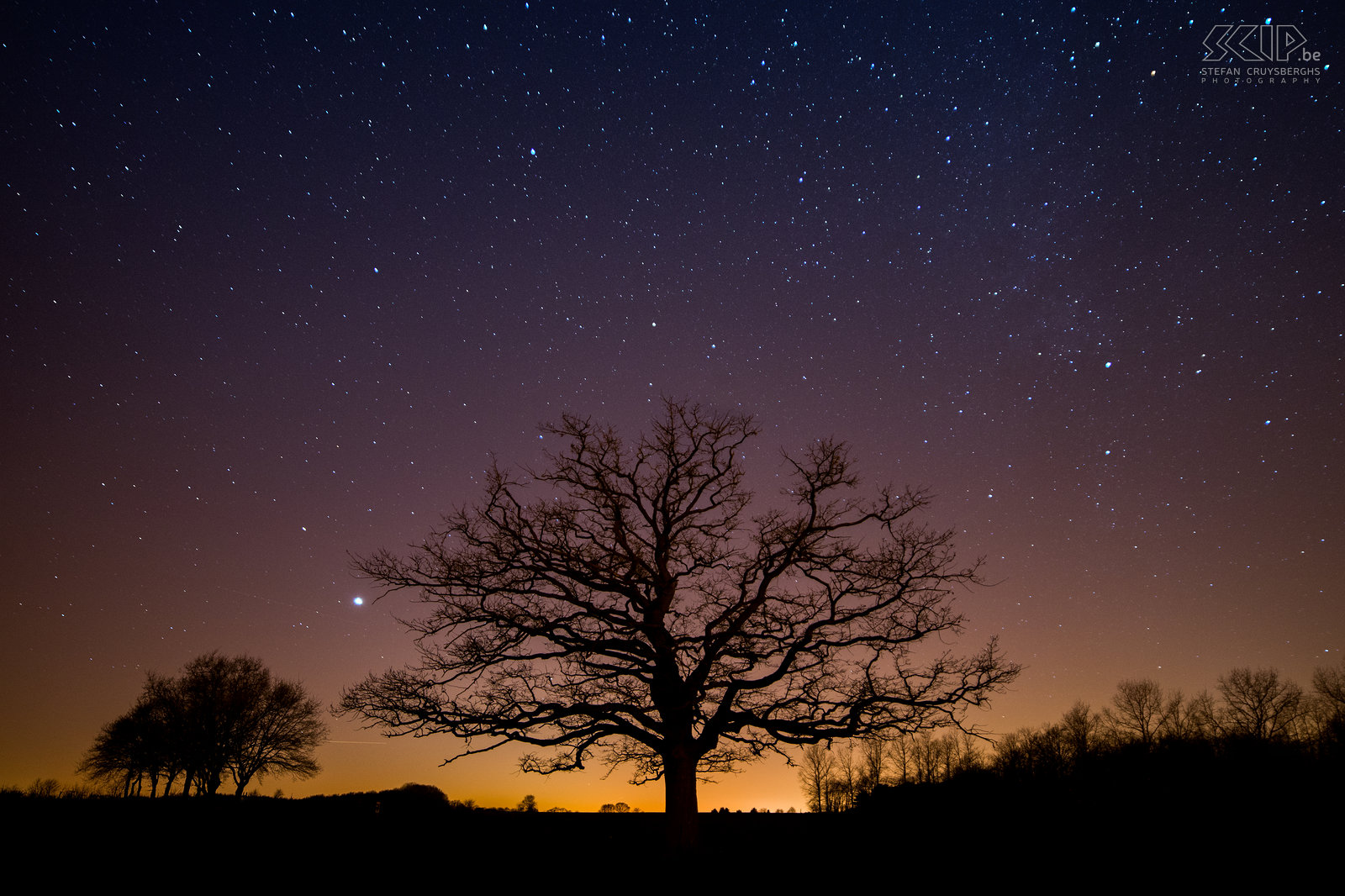 Hageland by night - Oude eik van Kaggevinne De oude eik van Kaggevine (Diest) is waarschijnlijk al 150 jaar oud. Ondanks de lichtvervuiling aan de horizon waren er op een koude winteravond toch heel veel sterren zichtbaar. Stefan Cruysberghs